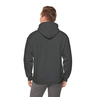 Mindful Mastery: "Practice Slow, Slow Practice" Unisex Hooded Sweatshirt