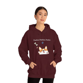 Practice, Practice, Practice Unisex Hooded Sweatshirt