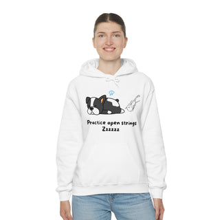 Practice Your Open Strings Musical Dog Unisex Hooded Sweatshirt