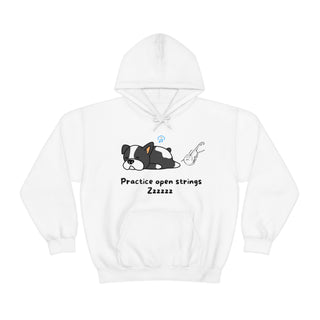 Practice Your Open Strings Musical Dog Unisex Hooded Sweatshirt