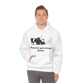 Practice Your Open Strings Musical Dog Unisex Hooded Sweatshirt