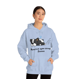 Practice Your Open Strings Musical Dog Unisex Hooded Sweatshirt