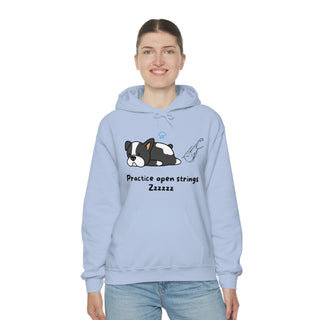 Practice Your Open Strings Musical Dog Unisex Hooded Sweatshirt