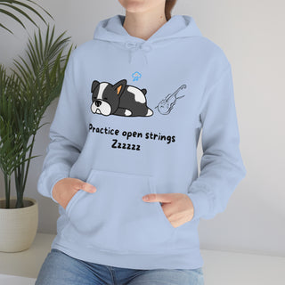 Practice Your Open Strings Musical Dog Unisex Hooded Sweatshirt