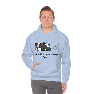 Practice Your Open Strings Musical Dog Unisex Hooded Sweatshirt