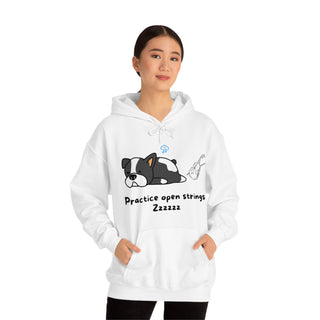 Practice Your Open Strings Musical Dog Unisex Hooded Sweatshirt