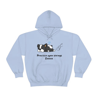 Practice Your Open Strings Musical Dog Unisex Hooded Sweatshirt