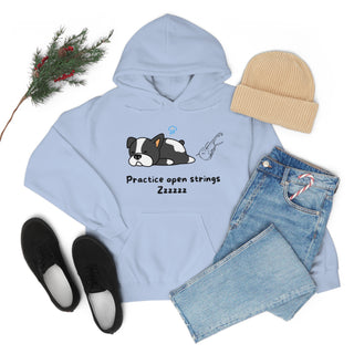 Practice Your Open Strings Musical Dog Unisex Hooded Sweatshirt