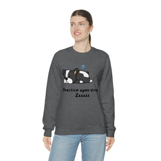 Practice Open Strings Musical Kitten Unisex Crewneck Sweatshirt